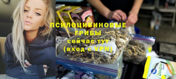 гидропоника Арсеньев