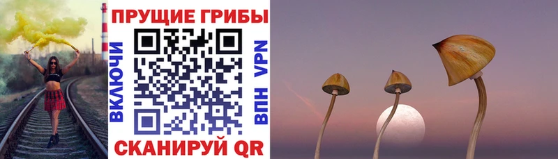 Псилоцибиновые грибы ЛСД  Усть-Джегута 